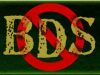 BDS – מי הם ומה מטרות ארגוני הדה-לגיטימציה נגד ישראל